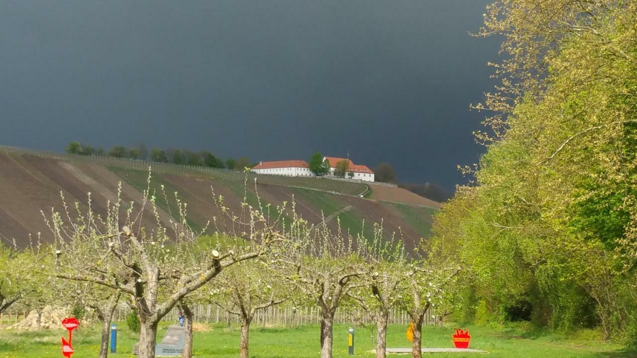 Gasthaus Zur Sonne Nordheim am Main Екстериор снимка